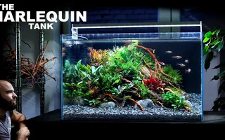 Aquarium