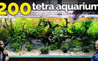 Aquarium