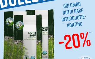 nutribase